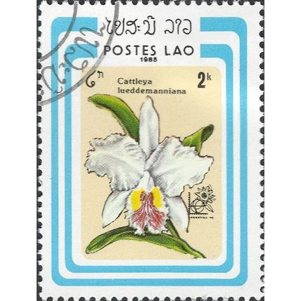 LAOS, FLOWER, Orchid, Cattleya lueddemanniana, blue 1985, 2k