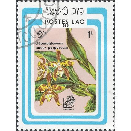 LAOS, FLOWER, Orchid, Odontoglossum luteo, blue 1985, 1k
