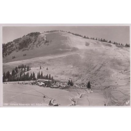 Alpen Untere Fürst Alm Real Photo Postcard