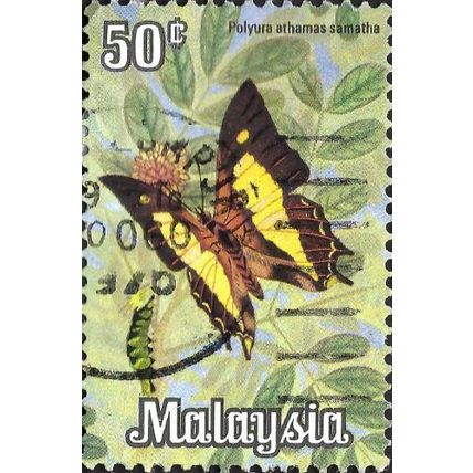 MALAYSIA, BUTTERFLY, Common Nawab, Polyura athamas, green 1970, 50c