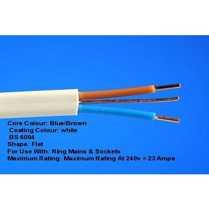White Flat TWIN & EARTH CABLE SOCKETS SPUR RING made by Delta Crompton