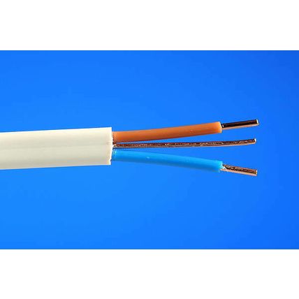 White Flat TWIN & EARTH CABLE SOCKETS SPUR RING made by Delta Crompton