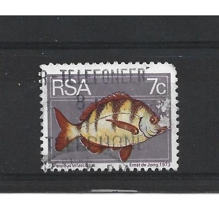 SouthAfrica.SG354 7c Bontrok Seabream.Fine Used.Sep25e