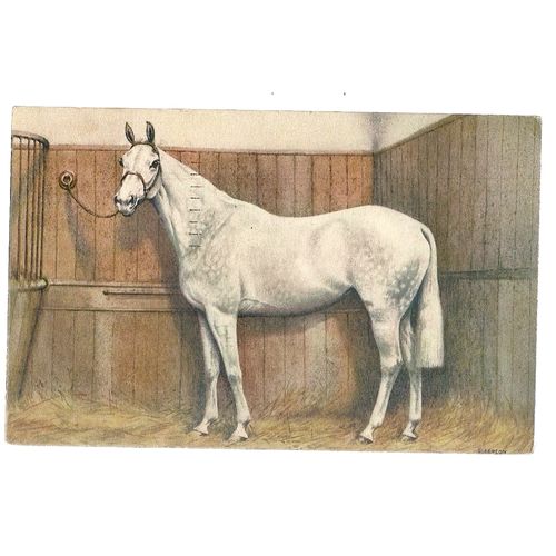 HORSE in stable painting by Alderson used vintage postcard 1959 postmark