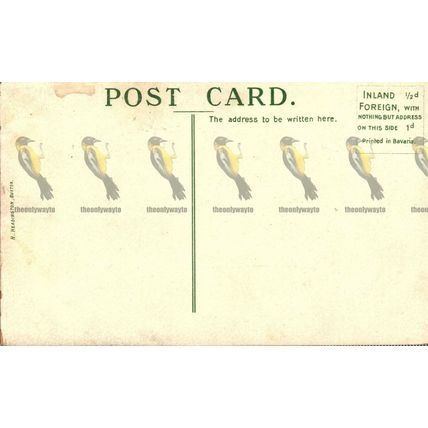 Palace Hotel & Baths, Buxton, Derbyshire, Headington, Bavaria Postcard