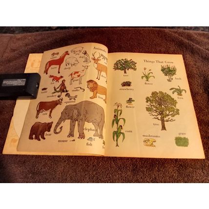 Little Golden Activity Book Words (B) Edition 6.5 FN+By Selma Lola Chambers 1955