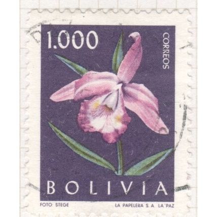 Bolivia 1962 - 1.000 multi - Laelia purpurata - used