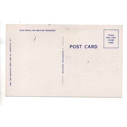 VINTAGE LINEN AMERICAN HUMOUR POSTCARD TWO MEN PRETTY GIRL THEME (3866)