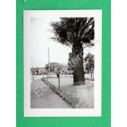 Lake Maggiore - Verbano - Locarno Switzerland Swiss Alps 1959 Ilford photograph