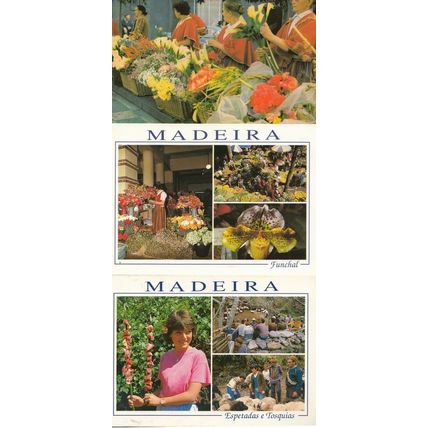 Funchal Flower Arranging Market Traders Shop Portugal Girls 3x Postcard