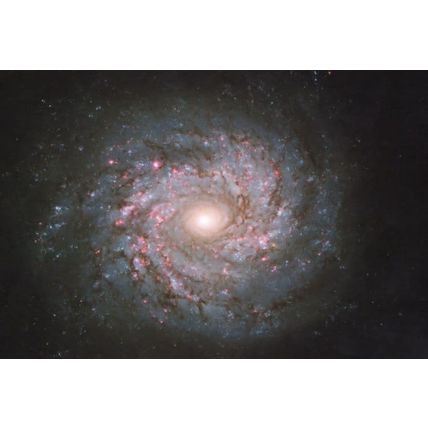 Spiral Galaxy NGC 3982 Ursa Major Constellation Milky Way Postcard