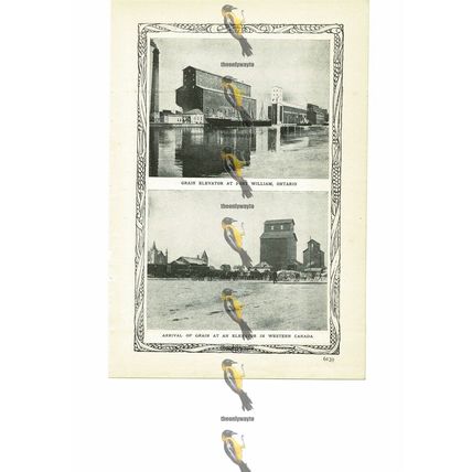 Agricultural Life, Canada (3), More On Reverse, Book Illustration (Print), 1909