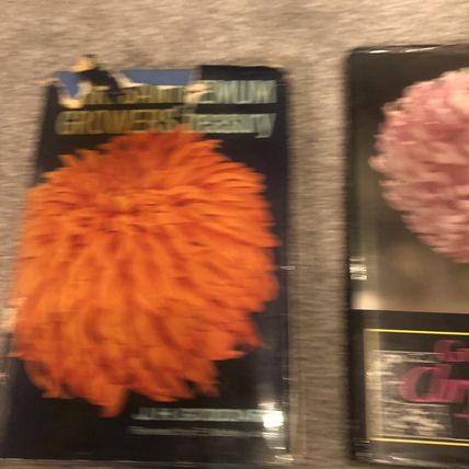 6 x Chrysanthemum plant books, gardening, vintage job lot