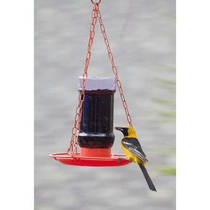 Perky-Pet 253 Wild Oriole Jelly Bird Feeder - 32 Ounce Feeder Capacity