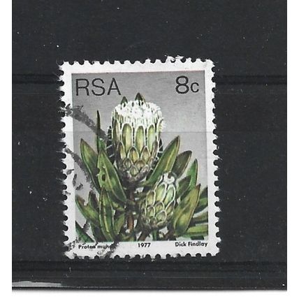 SouthAfrica.SG421 8c Protea Mundii.Fine Used.Sep25c
