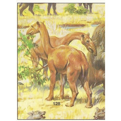 Panini's Dinosaurs Sticker Collection - Sticker No. 128
