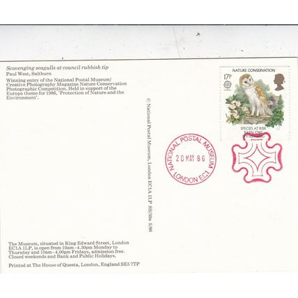 Scavenging Seagulls Royal Mail Postcard FDI Postal Museum Special Cancel VGC