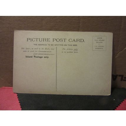YOUNG CHIMPANZEES unused antique postcard =