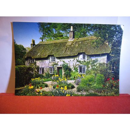 THOMAS HARDY'S BIRTHPLACE, HIGHER BOCKHAMPTON, Dorset unused postcard =
