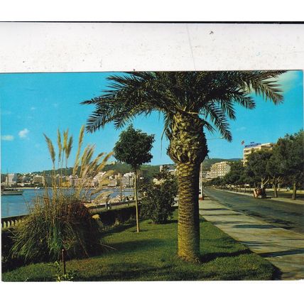 Mallorca Palma Paseo Maritimo Spain Postcard posted creased