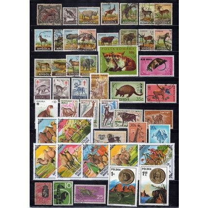 Wild Animals Stamp Collection Mint/Used Wildlife Camels Giraffe ZAYIX 0324S0055
