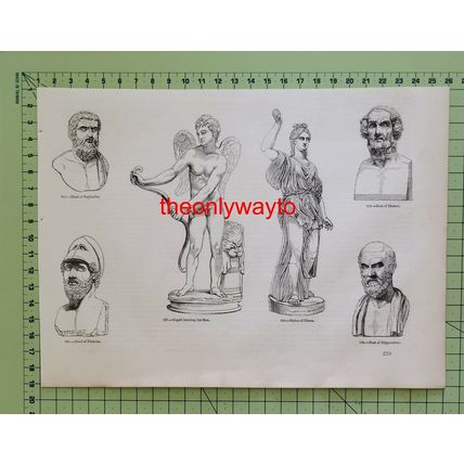Greek Statues & Busts, Cupid, Diana, Homer++, Book Illustration (Print), 1850