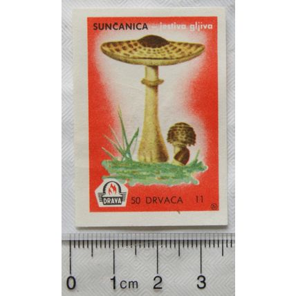 vintage Matchbox Label - 50 Drvaca - Suncanica