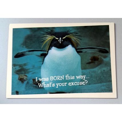 HALLMARK - BORN THIS WAY - POSTCARD .