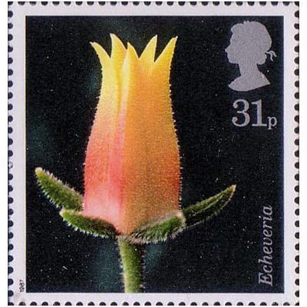 Great Britain 1987 Flowers Lammer 31p Unmounted Mint NHM SG 1349 Sc 1170 stamp