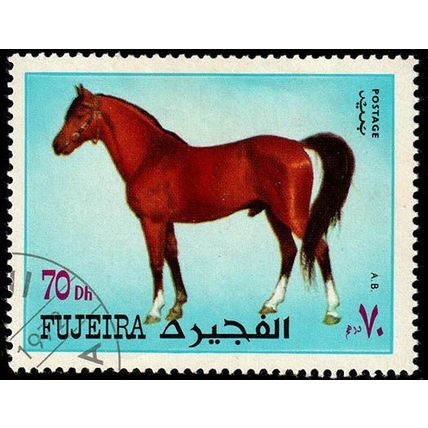 Fujeira 1972 Animal Horse 70D Used Stamp