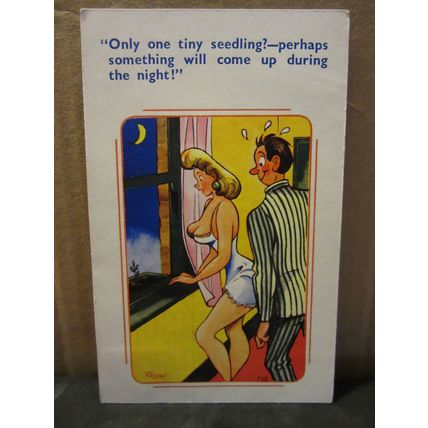 SAUCY SEASIDE POSTCARD 1961 pm humour Coastal Cards no 730 by Trow.. seedling #