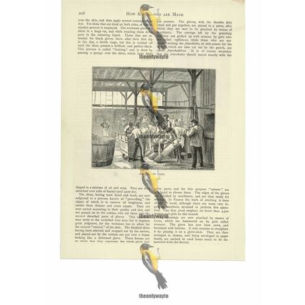 Shaving Skins To Make Kid Gloves, Book Illustration (Print), 1886