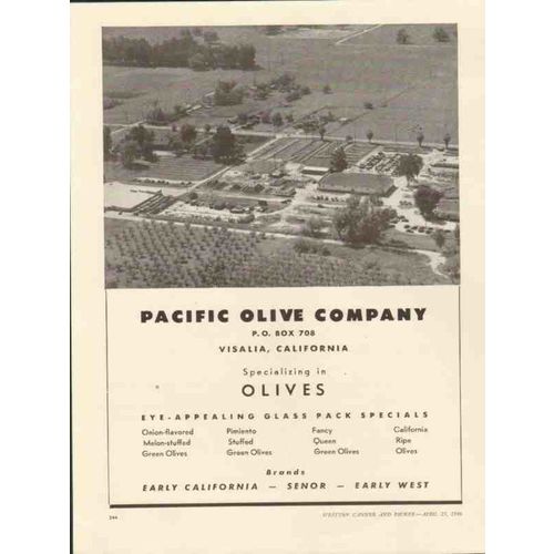 pacific olive company 1946 early california senor west vintage ad