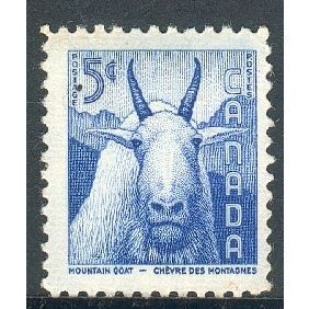 Canada stamps 1956 - SG 487 - 5c Mountain Goat MH