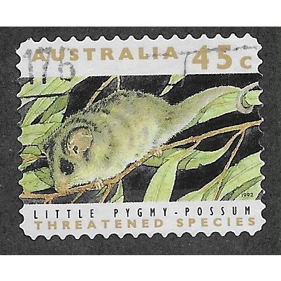 AUS 1992 45c (S/A) 'LITTLE PYGMY POSSUM'(PHOS )(LITHO) FINE USED (EBID60-040)