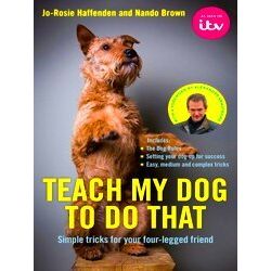 Teach My Dog To Do That