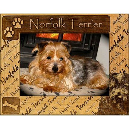 Norfolk Terrier Laser Engraved Wood Picture Frame (5 x 7)