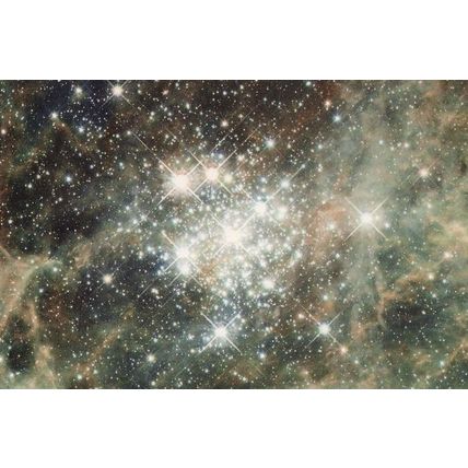 Hodge 301 Tarantula Milky Way Nebula Star Cluster Astronomy Postcard