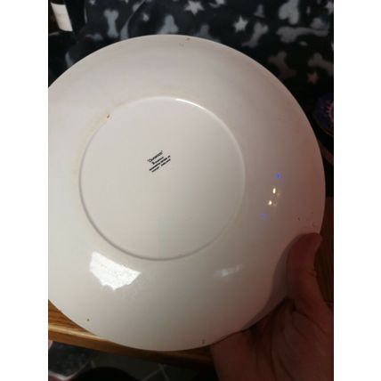 Pair Vintage Oakwood Ironstone Dinner Plates