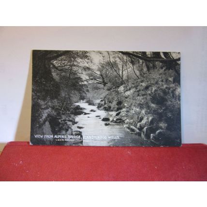 ALPINE BRIDGE, LLANDRINDOD WELLS, RADNORSHIRE used antique postcard L & N W =