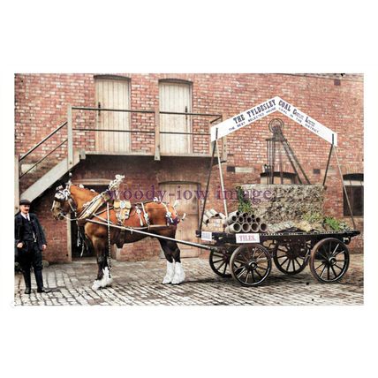 ptc4273 - Lancs - The Tyldesley Coal Co. Ltd. Delivery Horse & Cart - print 6x4