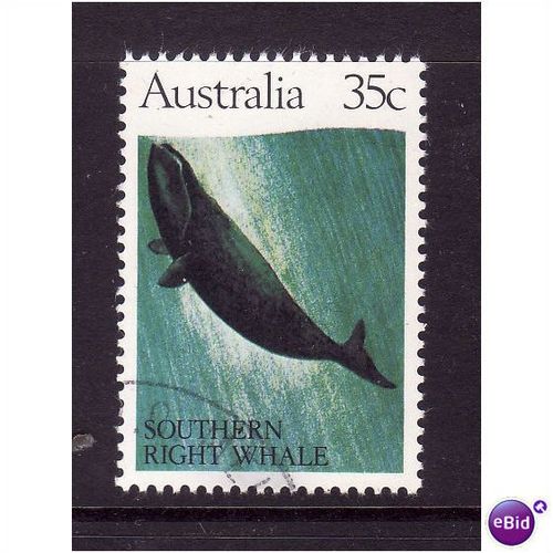 AUSTRALIA 1982 35c BLACK RIGHT WHALE SG 839 FINE USED