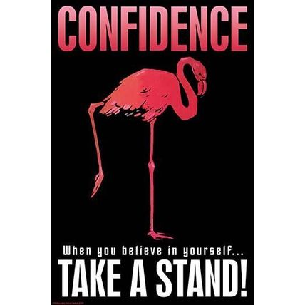Confidence 12 x 18 Poster