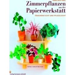 Zimmerpflanzen Aus Der Papierwerkstatt