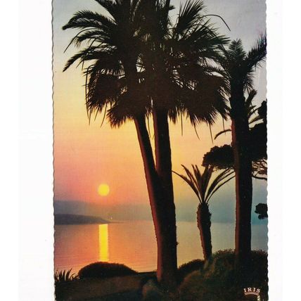 Cote D'Azur Coucher de Soleil France Postcard used VGC