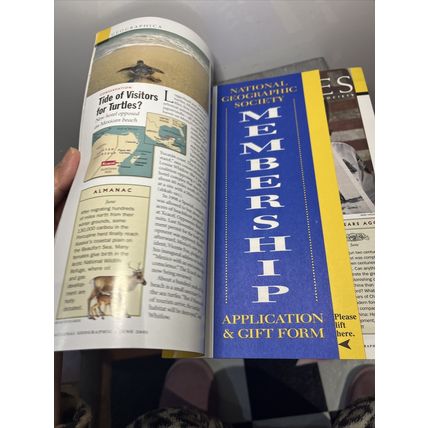 National Geographic Magazine June 2001 Asia's Last Lions - Vintage Collectable