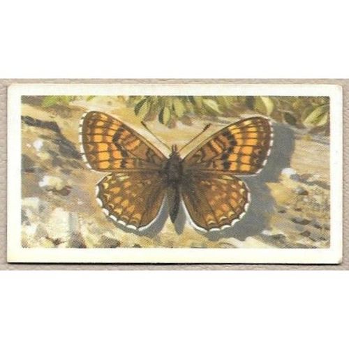Brooke Bond Tea card BRITISH BUTTERFLIES no.17 Heath Fritillary