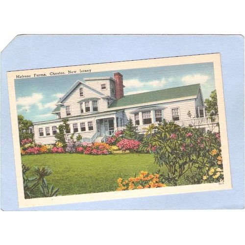 New Jersey Chester Melrose Farms~2042