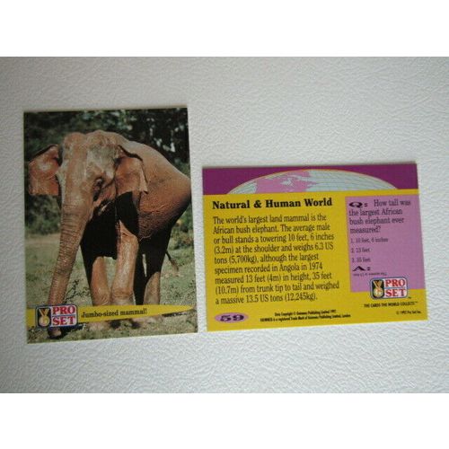 Pro Set 1992 Guinness Book of Records Trade Cards Card Variants (eb2)