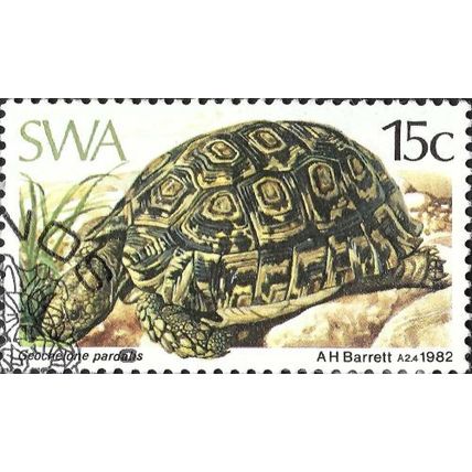 SOUTH WEST AFRICA, REPTILE, Leopard Tortoise, Geochelone, brown 1982, 15c